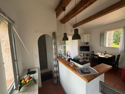 - une cuisine avec un comptoir dans une pièce dans l'établissement Studio terrasse, à Villecroze