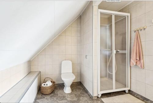 a bathroom with a toilet and a shower at Lofoten Lightscape in Moskenes