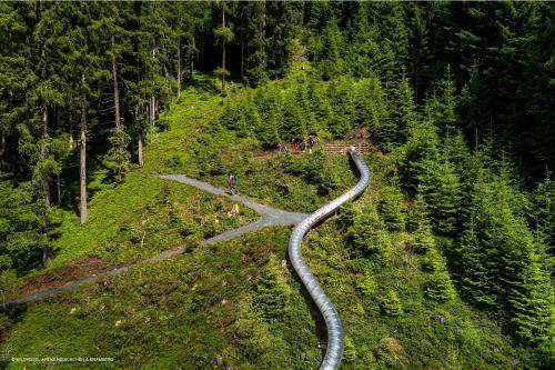a winding road in the middle of a forest at AlpenPura - Chalet mit Sauna und Panoramablick in Neukirchen am Großvenediger