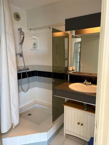 une salle de bain avec un lavabo et une douche dans l'établissement St Cyprien T3 lumineux en bord de plage Piscine, à Saint Cyprien Plage