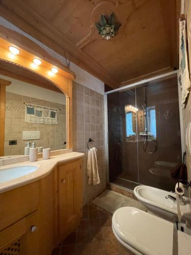 a bathroom with a tub and a sink and a shower at Casa Auroranna in Sappada