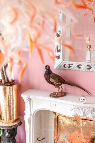 un oiseau assis sur une table à côté d'un miroir dans l'établissement La Maison Charmante, à Châtellerault