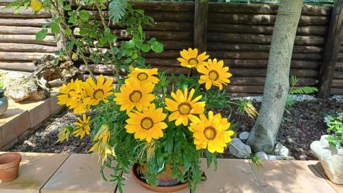 a bouquet of yellow flowers in a vase at La casetta rossa in Collicello