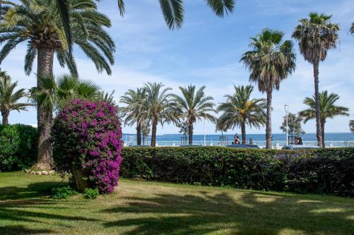 a park near the beach with palm trees and purple flowers at NEW! Sea View studio - Beachfront living in Cannes, Boulevard du Midi - Nouveau! Studio Vue mer, face à la plage, les pieds dans l'eau in Cannes