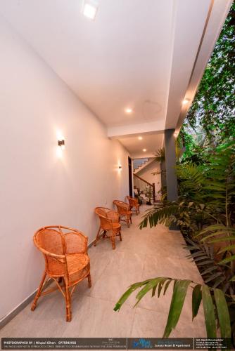 a row of chairs in a hallway with plants at BLUE WHALES HOTEL in Hikkaduwa