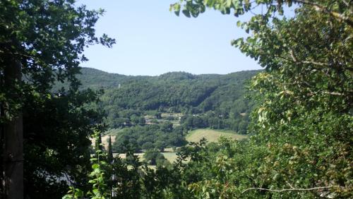 a view of a valley through the trees at La casetta rossa in Collicello