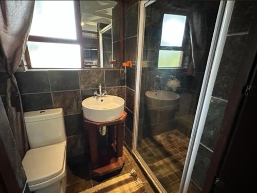 a bathroom with a sink and a shower and a toilet at Roydon Reserve in Queenstown