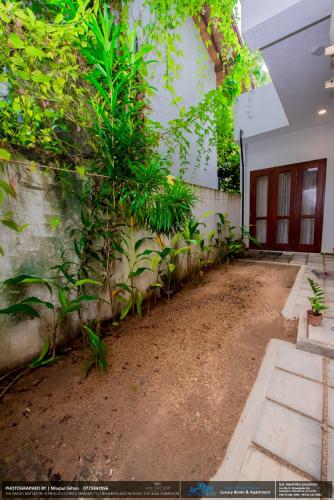 a building with plants on the side of it at BLUE WHALES HOTEL in Hikkaduwa