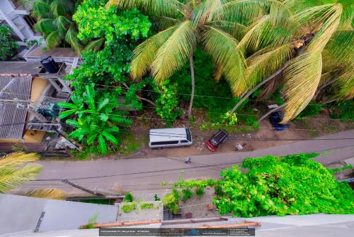 an overhead view of a street with palm trees and a car at BLUE WHALES HOTEL in Hikkaduwa
