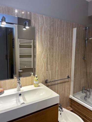 une salle de bain avec un lavabo, un miroir et une baignoire dans l'établissement Rivoli Center Terrasse Clim Parking, à Nice