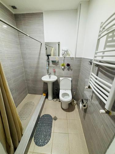 a bathroom with a toilet and a sink at Happy Holidays in Borjomi