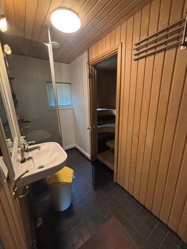 a bathroom with a sink and a mirror at Koljonvirta Cottages in Iisalmi
