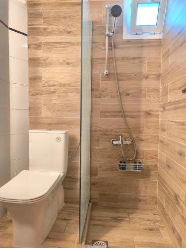 a bathroom with a toilet and a shower at Seaview Studios Kriopigi in Kriopigi