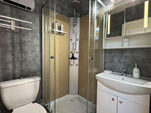 a bathroom with a shower and a toilet and a sink at Le Poisat in Pont-de-Vaux
