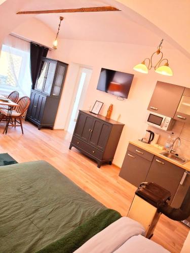 a room with a kitchen and a living room at Apartments Romantic and Family Room Zemlinski in Payerbach