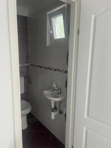 a bathroom with a sink and a toilet at Apartment Tihana in Cres