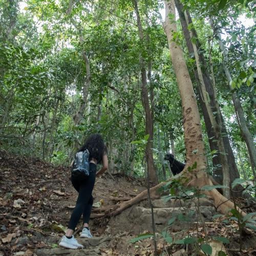 a woman walking down a trail in the forest at PITI Nest Self-Service Home in Rainforest Nest - Wi-fi, Monkeys, Bats, Pet Friendly with a Fee in Subic Bay Intl