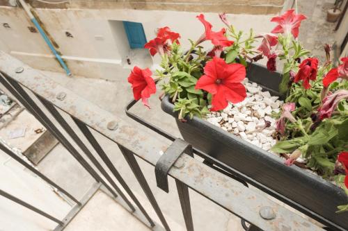 a planter with red flowers in it on a balcony at Le Porte del Tempo in Mazara del Vallo