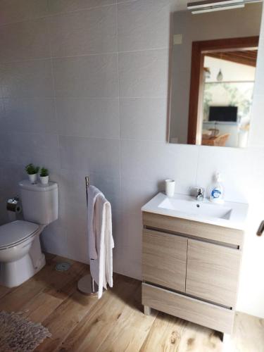 a bathroom with a sink and a toilet and a mirror at Quinta da Pontinha in Alenquer