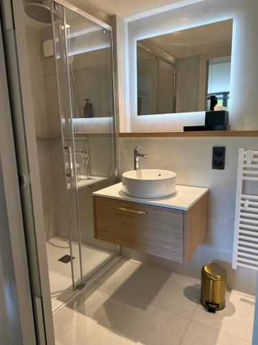 a bathroom with a sink and a shower with a mirror at LaCorniche in Contrexéville