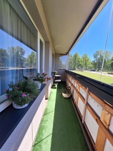 an empty balcony with potted plants and windows at Barona ielas apartamenti in Sigulda