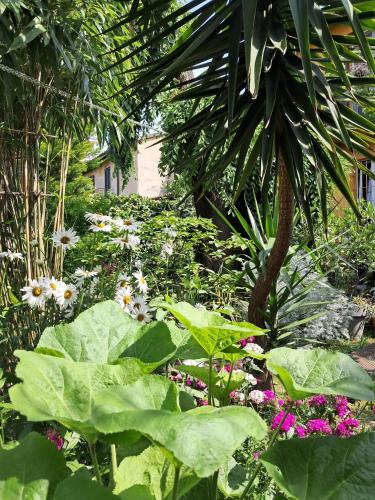 Room with a garden
