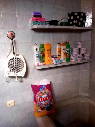 a bathroom with a rack of cleaning products on a wall at Guli in Gori