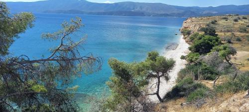 Φυσικό τοπίο κοντά σε αυτό το διαμέρισμα