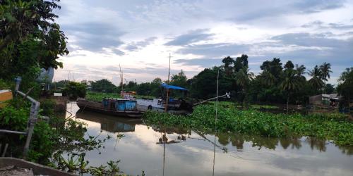 a boat is docked on a river with trees at Chill Guesthouse Can Tho in Can Tho