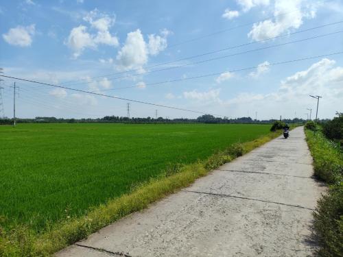 a motorcycle parked on a dirt road next to a field at Chill Guesthouse Can Tho in Can Tho