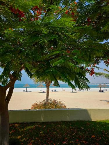 a tree in front of a beach with umbrellas at Seaview Escape Family Two-Room Apartment with Seaview in Ras al Khaimah