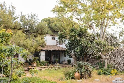 Masseria Piutriにある庭