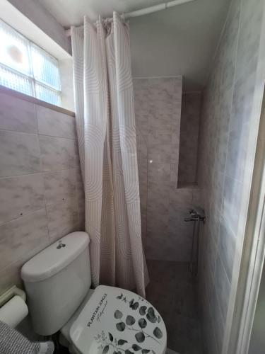 a small bathroom with a toilet and a shower at Nisaki City Vibes in Chios