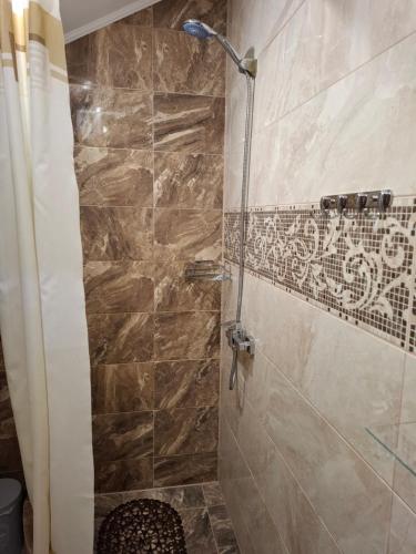 a bathroom with a shower with a glass door at Zatyshok v Karpatah 2 in Vorokhta