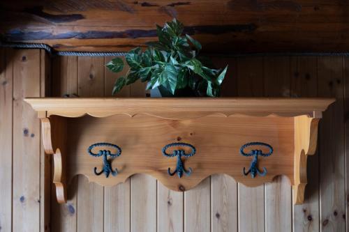 a wooden shelf with a plant on top of a wooden wall at Agriturismo Alberobello in Viganella