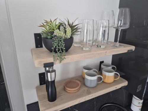 a shelf with cups and glasses and plants on it at MacKaw Flat 2 in Fort William