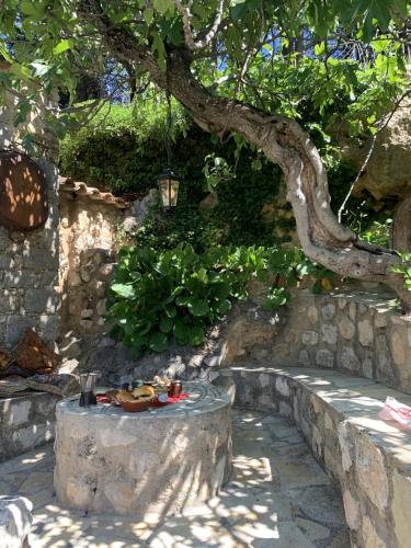 une table avec de la nourriture sous un arbre dans l'établissement La Sanglière, à Ampus
