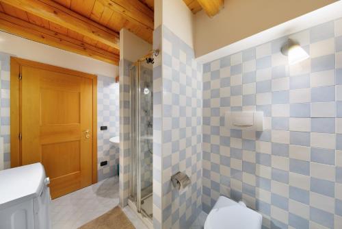 a bathroom with a toilet and a glass shower at Villa Cleila Blu D in San Vito di Cadore