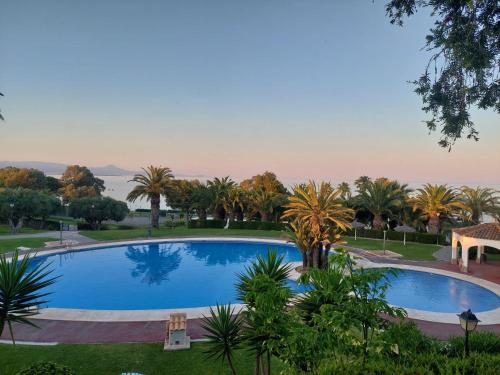 Gran Vista - playa y piscina