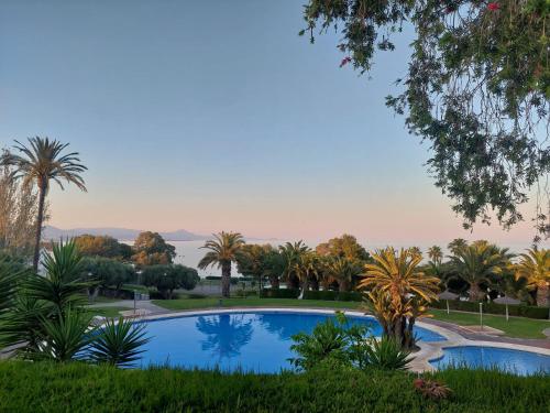 a swimming pool in a park with palm trees at Gran Vista - playa y piscina in Gran Alacant
