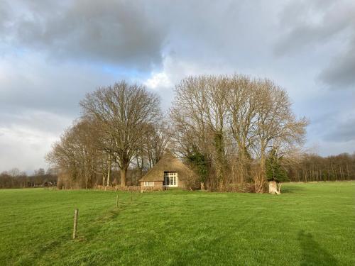 an old house in a field with trees and grass at De Baander in Baak