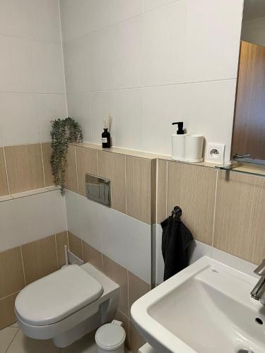 a bathroom with a toilet and a sink at Airport Apartman Víšek in Chýně