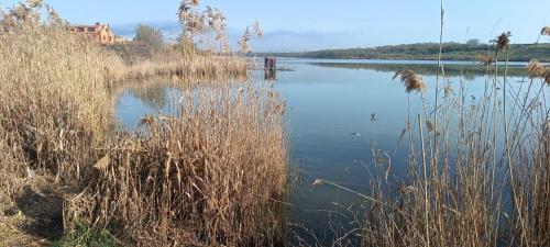 a body of water with a bridge and some grass at Загородный дом Дача in Nova Dolyna