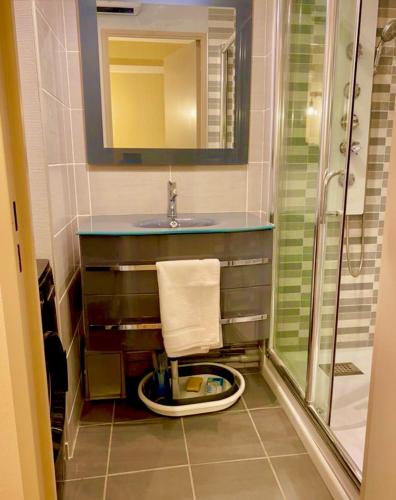 La salle de bains est pourvue d'un lavabo, de toilettes et d'une douche. dans l'établissement Marina très belle vue avec ponton, au Grau-du-Roi