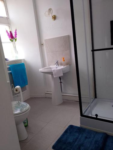 une salle de bain blanche avec un lavabo et des toilettes dans l'établissement Hope House, à Chavagnes-les-Redoux