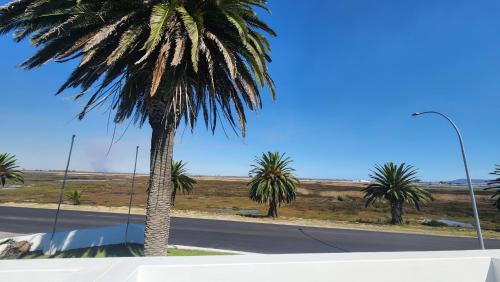 a palm tree on the side of a road at Ebb-Tide 7 in Velddrif