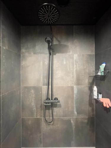 a shower with a shower head in a bathroom at Cahkal Villa in Kilpisjärvi