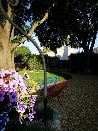 quelques chaises assises à côté de quelques fleurs dans l'établissement Le vieux Moulin, à Arles