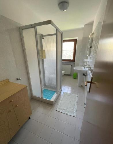 a bathroom with a shower and a sink at Appartamento Bonomelli in Enguiso