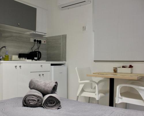 Η κουζίνα ή μικρή κουζίνα στο Nicosia Central Suites